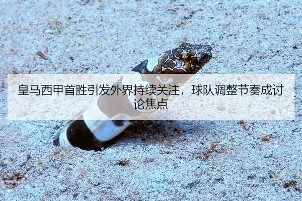 huang-ma-xi-jia-shou-sheng-yin-fa-wai-jie-chi-xu-guan-zhu-qiu-dui-tiao-zheng-jie-zou-cheng-tao-lun-jiao-dian-1-994.jpg